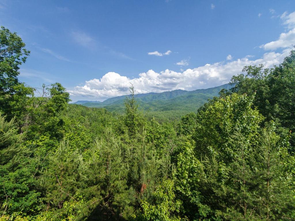 Dreamscapes Villa Gatlinburg Bagian luar foto